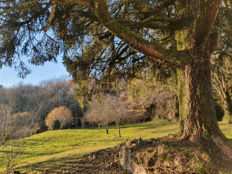 Prairie arborée