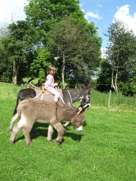 A la ferme les brebis vous attendent;
Le zoo des 3 vallées à 7 kms du gîte vous accueillera avec des animaux plus exotiques